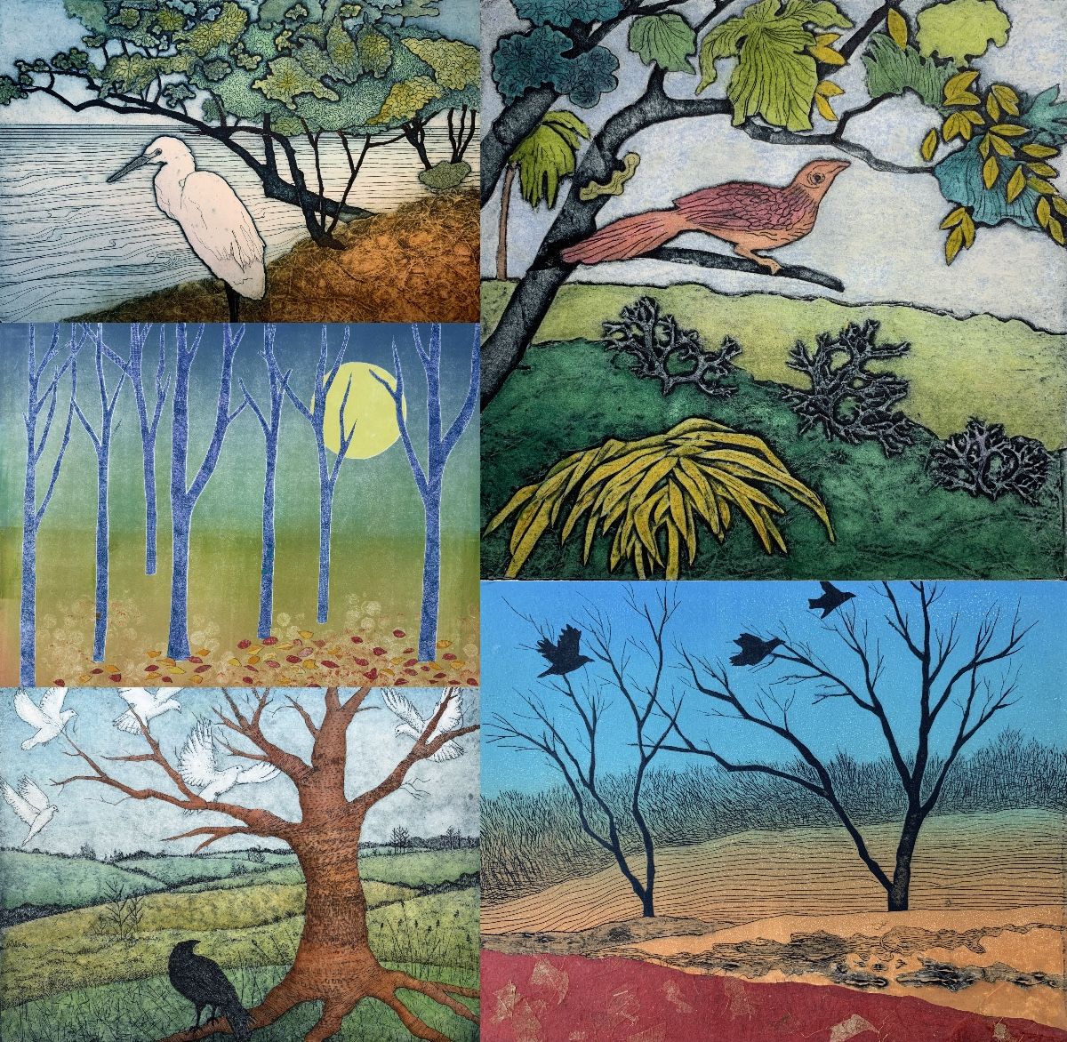a 5 picture collage. Image 1 is “Paradise Dreams” Egret by the ocean under a tree. Collagraph. Image 2 is “Chachalaca Morning” Chachalaca bird sitting on a tree branch.  Collagraph. Image 3 is “Winter’s Flock” Bare trees in a field with crows flying. Collagraph. Image 4 is “The Meeting” A crow and doves are having a meeting at an old oak tree. Etching. Image 5 is “Misty Mourning” Bare trees with morning sun and autumn leaves on the ground. Monotype.