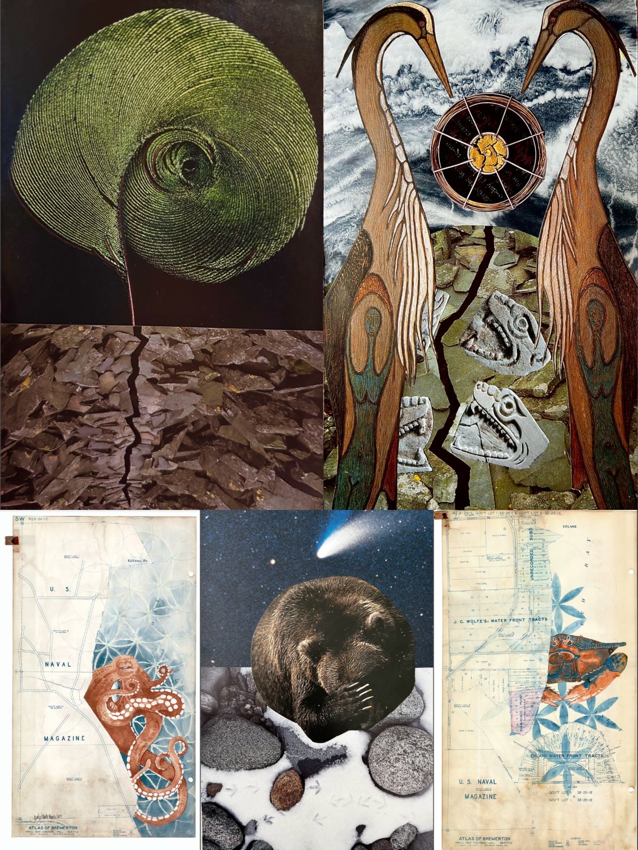 a 5 picture collage. Image 1 is A green feather emerging from cracked earth, curled in a spiral. Image 2 is Two crane figures with their beaks meeting in the middle where a large circle is suspended in the air. The sky behind it is stormy and full of clouds. The hill they are standing on has a large crack running down the center, with ancient carved stone animal heads around the crack. Image 3 is A vintage map of the Bremerton area. Super imposed throughout the map is a sacred geometry pattern called the Flower of Life. A red Octopus is emerging from the pattern. Image 4 is A bear curled up in a ball with its paw over its eyes. The ground is covered in snow and there are bird tracks in between stones poking out. In the sky above, there is a comet amongst the stars. Image 5 is A vintage map of the Bremerton area. Super imposed throughout the map is a sacred geometry pattern called the Flower of Life. A Dungeness crab is emerging from the pattern.